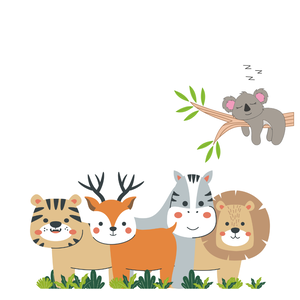 Team Page: Magical Macaws